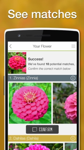 LikeThat花园app_LikeThat花园app中文版下载