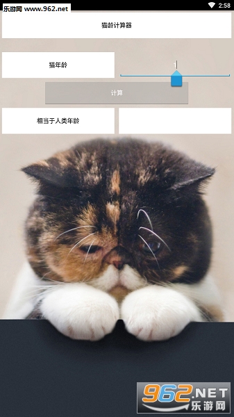 猫龄计算器手机版