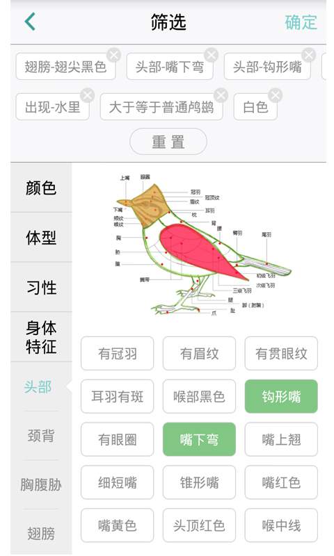中国野鸟速查app_中国野鸟速查app官方版_中国野鸟速查app小游戏