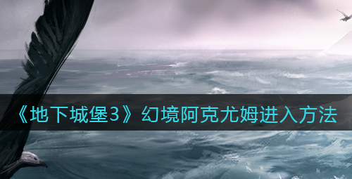 ﻿如何进入地下城堡3灵魂诗歌幻境Akyoum-进入地下城堡3灵魂诗歌幻境Akyoum的方法列表