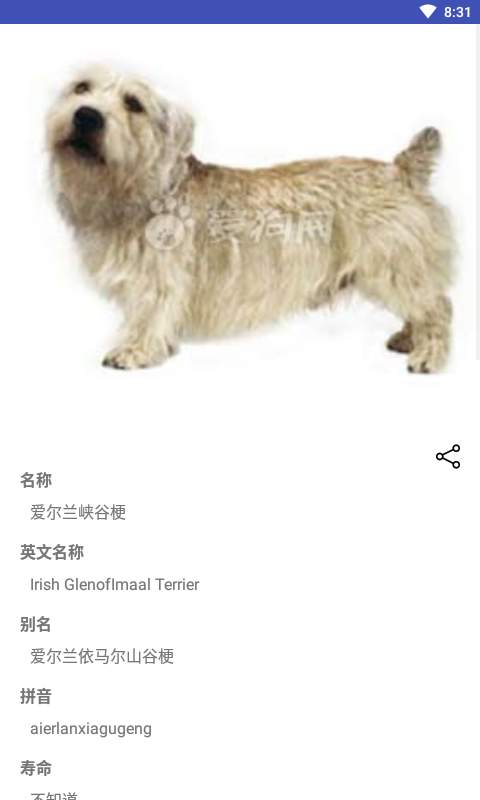 爱宠物下载_爱宠物下载中文版下载_爱宠物下载安卓手机版免费下载