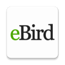 eBird