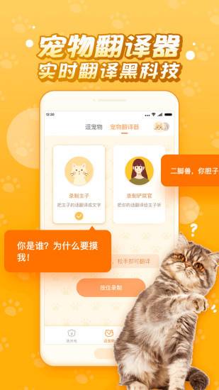 逗猫咪下载_逗猫咪下载中文版下载_逗猫咪下载最新版下载