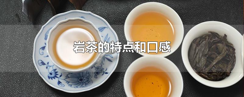 岩茶的主要特征