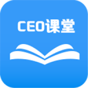 CEOLesson