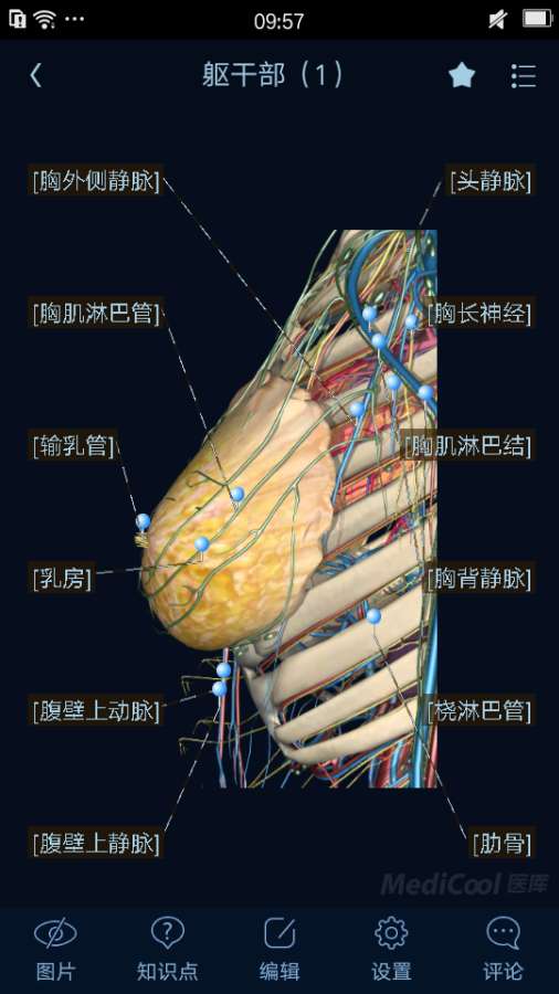 医学图谱王app_医学图谱王app安卓版下载_医学图谱王app积分版