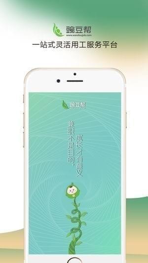 豌豆帮app