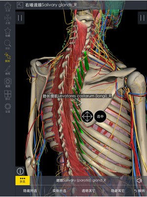 3Dbody解剖软件下载_3Dbody解剖软件下载ios版_3Dbody解剖软件下载手机版