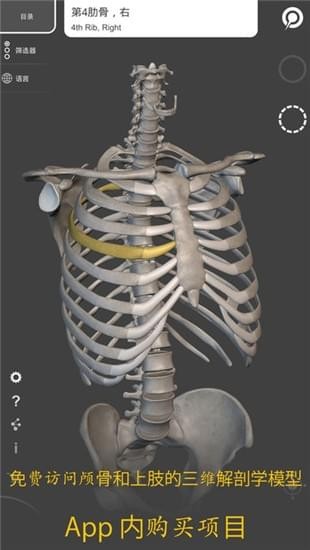 3d骨骼软件下载_3d骨骼软件下载最新官方版 V1.0.8.2下载 _3d骨骼软件下载官方正版