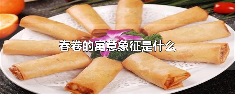 春卷寓意着什么