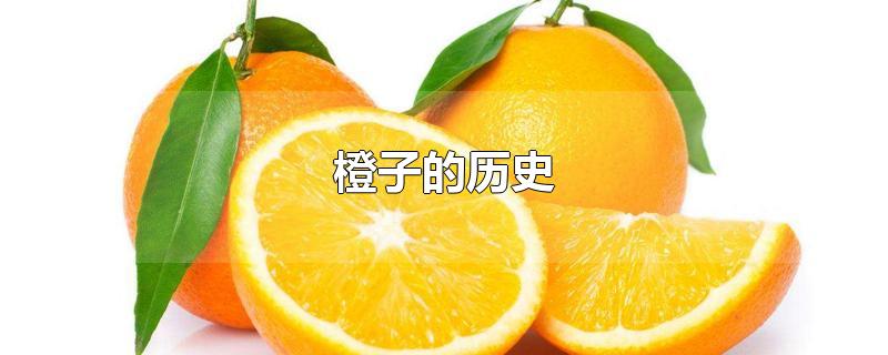 橙子的历史起源
