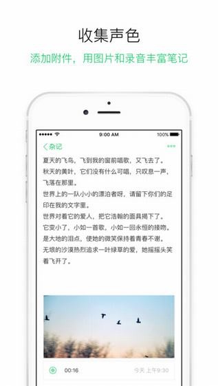 随笔记app