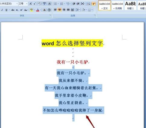 word竖列文字的选择方法