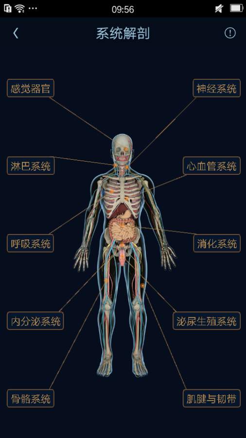 医学图谱王app_医学图谱王app安卓版下载_医学图谱王app积分版