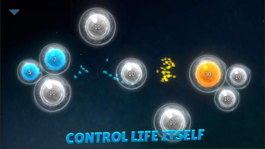 细菌起源2：噬菌体的进化app_细菌起源2：噬菌体的进化安卓版app_细菌起源2：噬菌体的进化 1.2手机版免费app