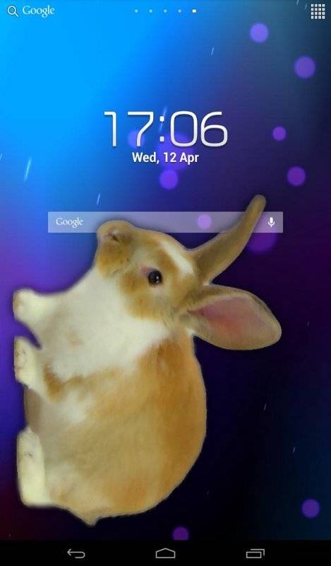 兔子在手机可爱的笑话app