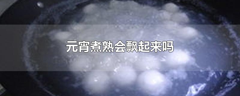 元宵怎么就煮熟了