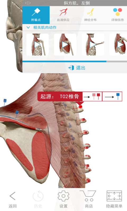 2018版人体解剖学图谱app