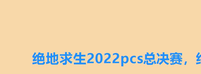 绝地求生2022pcs总决赛，绝地求生中国赛事