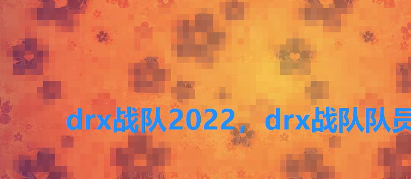 drx战队2022，drx战队队员有谁2022