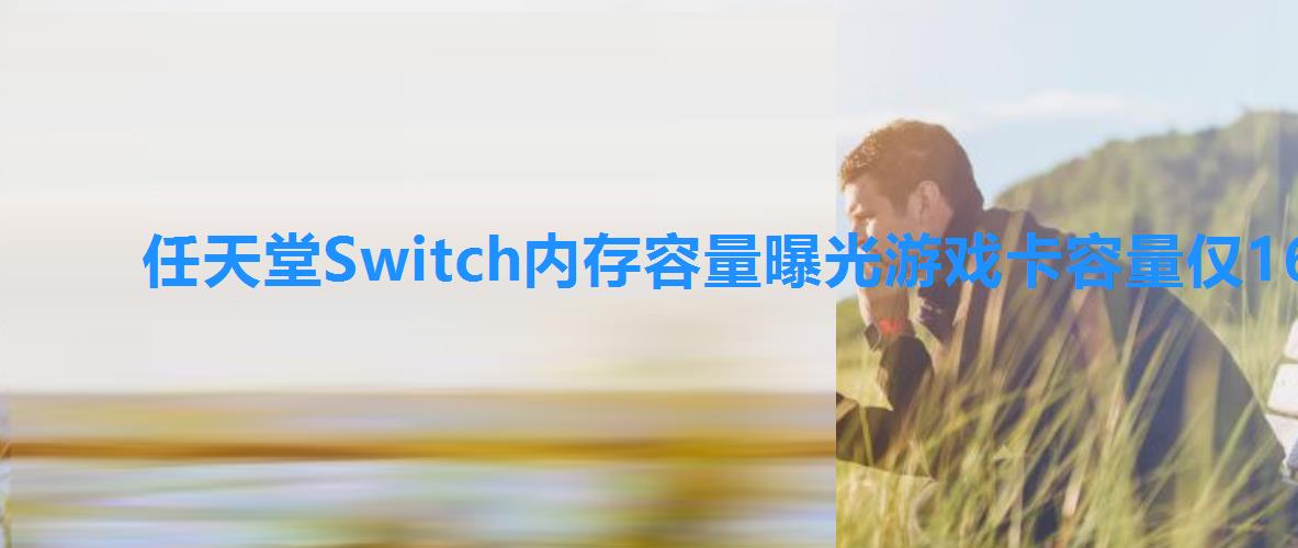 任天堂Switch内存容量曝光游戏卡容量仅16GB