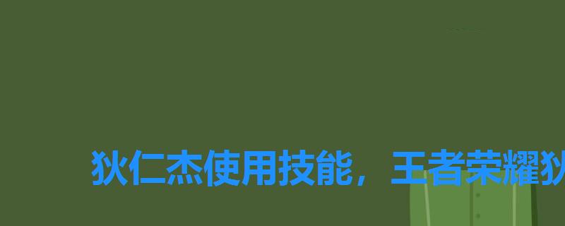 狄仁杰使用技能，王者荣耀狄仁杰常用技能