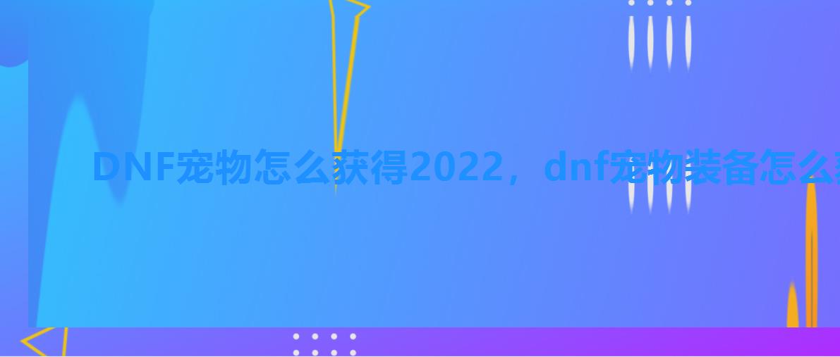 DNF宠物怎么获得2022，dnf宠物装备怎么获得2022