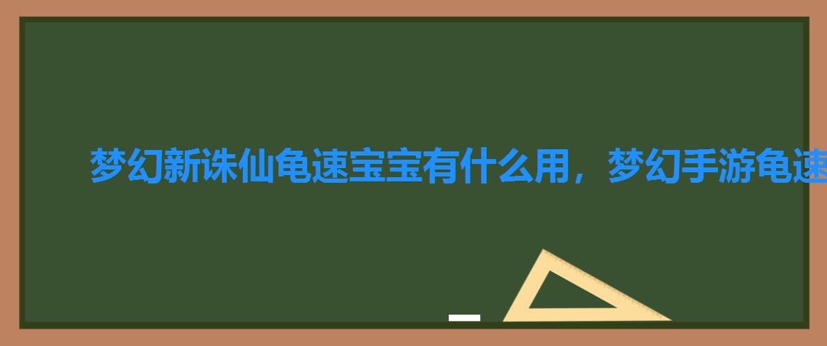 梦幻新诛仙龟速宝宝有什么用，梦幻手游龟速攻宠