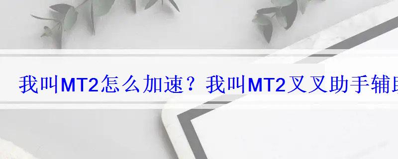 我叫MT2怎么加速？我叫MT2叉叉助手辅助使用教程