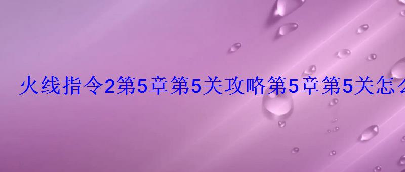 火线指令2第5章第5关攻略第5章第5关怎么过