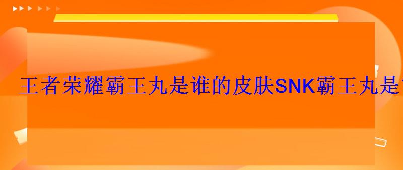 王者荣耀霸王丸是谁的皮肤SNK霸王丸是宫本新皮肤吗？