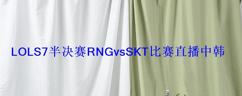 LOLS7半决赛RNGvsSKT比赛直播中韩巅峰之战