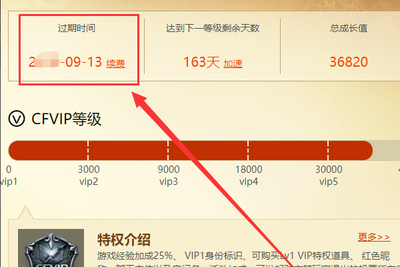 cf会员怎么看剩余天数？
