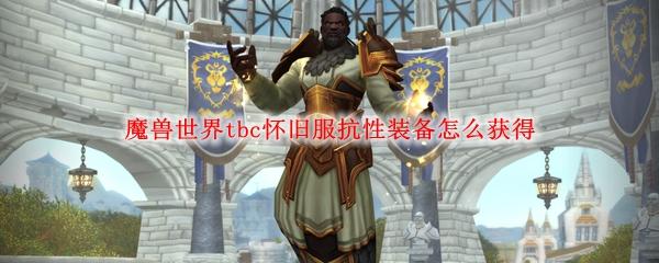 魔兽世界tbc自然抗性装备哪弄？