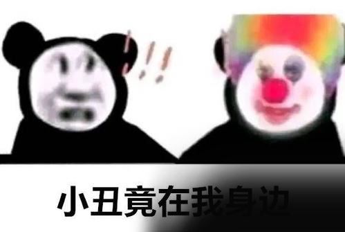 小丑竟在我身边什么梗