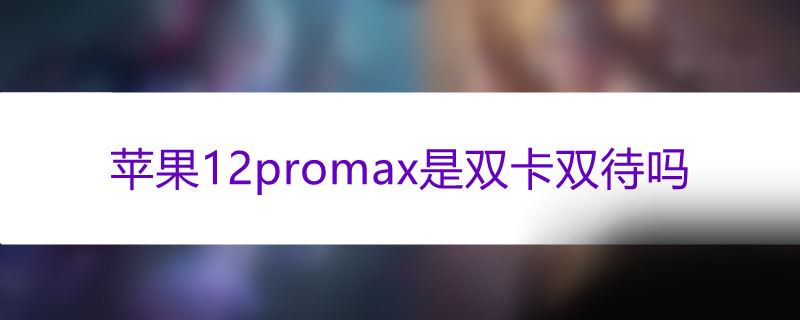 苹果12promax是双卡双待吗