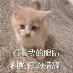 抖音貓咪能有什麼壞心眼表情包大全