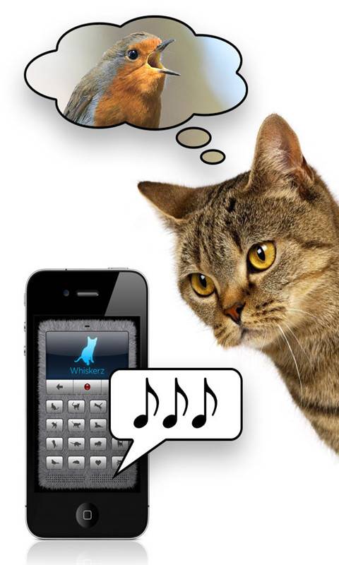 猫语翻译器app猫语翻译器app破解版下载猫语翻译器app小游戏