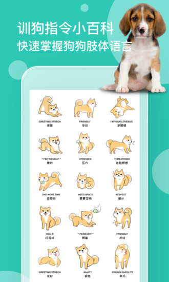 狗语翻译器免费版app下载_狗语翻译器免费版安卓手机版下载