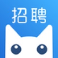 招聘猫app下载_招聘猫安卓手机版下载