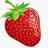 草莓转app下载_草莓转安卓手机版下载